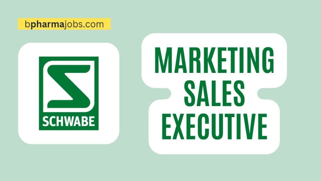 Marketing Sales Executive